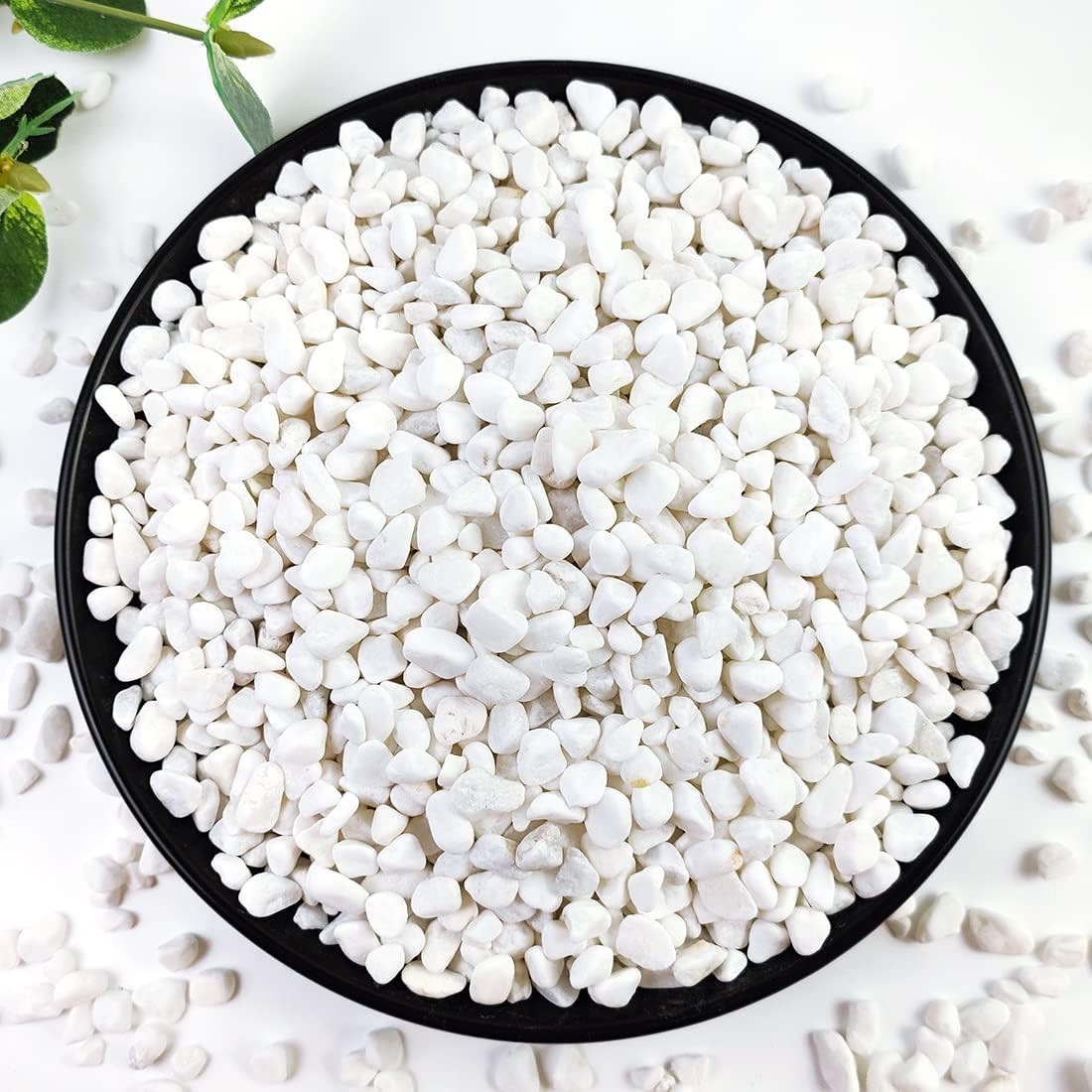 Versatile 5LB White Gravel Pebbles - Ideal for Plants, Terrariums, and Decor
