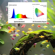 Led Aquarium Light, Full Spectrum Fish Tank Lights, Small 5/10 Gallon Freshwa...