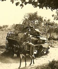 **RARE! Wehrmacht Soldier by KO'd British Vickers MK.VI Panzer Tank; Greece!!!**