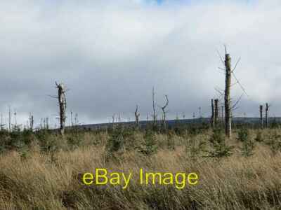 Photo 6x4 Millmoor Rig Southdean Replanted after felling the previous gen c2014