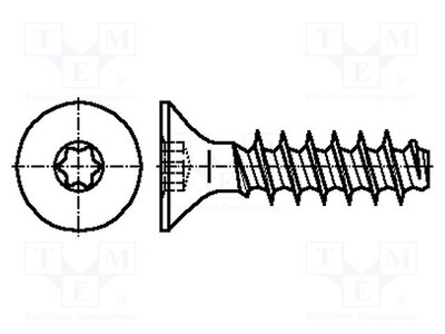 Zink Kopf: Senkkopf für Kunststoff TX08 3x20 Schraube Torx