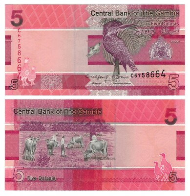 3 Uncirculated Gambia Banknotes – 5, 10, 20 Dalasis Set – Currency Collectible