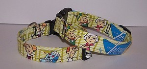astro dog collar