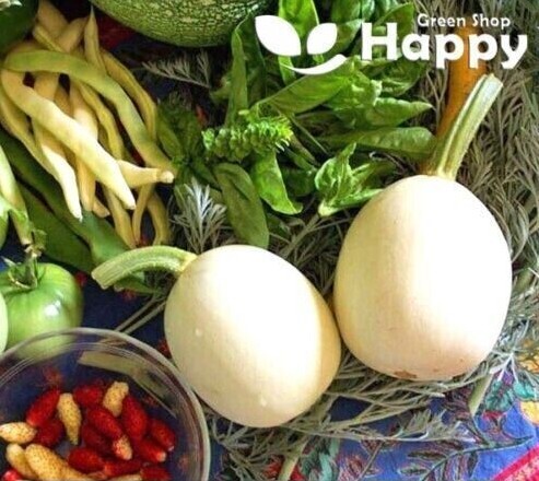 CLIMBING FLOWERS - Vines - Thunbergia Morning Glory Sweet Pea - Flower seeds - Picture 44 of 121