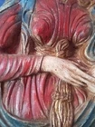 Foto 5 di 8