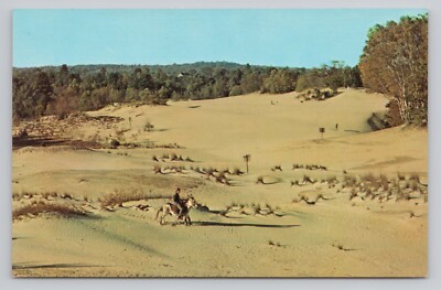 Desert Of Maine U.S. Route 1 Interstate 95 Donkey Freeport Maine Postcard