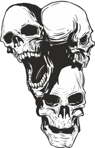 1x Three Headed Skull Sticker for Motorcycle Gas Tank Bumper Helmet Truck #18 - Afbeelding 1 van 1