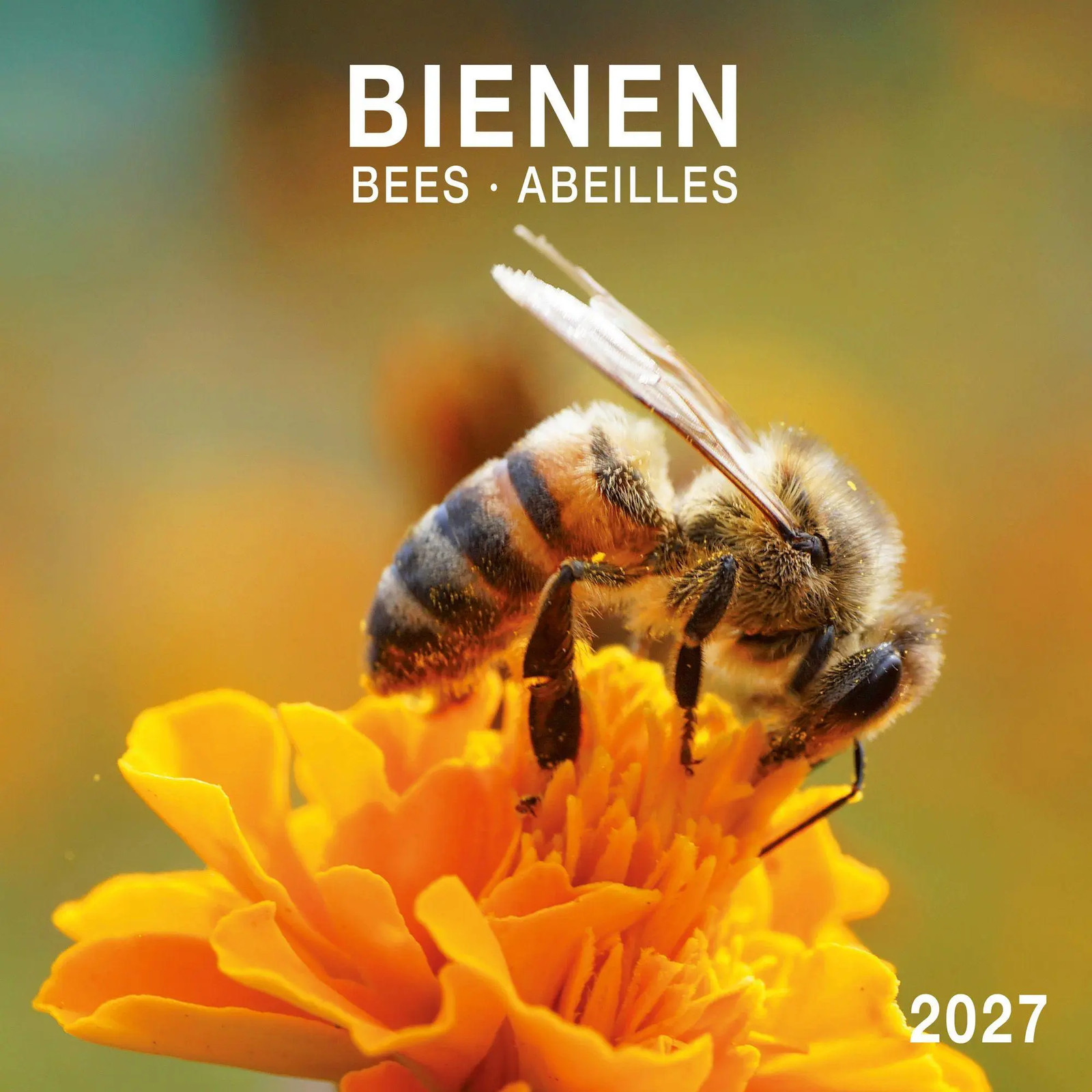 Bienen / Bees 2027: Kalender 2027 (Artwork Edition) - Bild 5