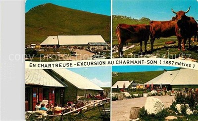 Chartreuse La Grande Charmant Som Kitchen Destination