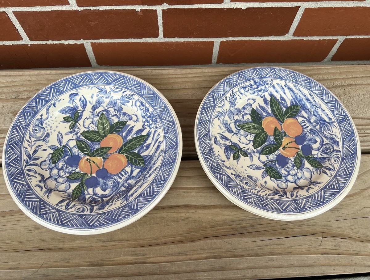 Isabelle De Borchgrave Caspari Salad Dessert Paper Plates Blue