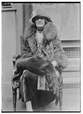 Photo:Mrs. E.H. Harriman Mary Williamson Averell 1910s Fur Coat Portrait