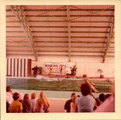 Vintage Found Photograph Marine Park Show Pool Crowd Nostalgic Kodak Print