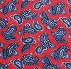 paisleypaula