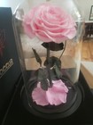 Livoccur Preserved Pink ROSE in Glass DOME 4.7"×4.7"×7.5" Stand  Gift of Love — photo 3