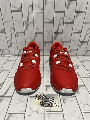 New Nike Zoom Freak 5 TB Basketball Shoes Giannis Red White  display picture 3