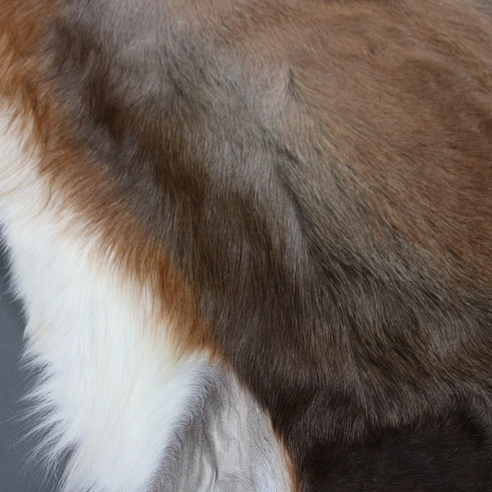 NEW Large Genuine Natural BLESBOK Brown Exotic Hide Rug - Image 3 of 4