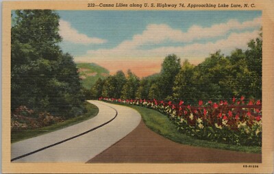 Postcard Canna Lilies along U.S. Hwy 74 Approaching Lake Lure NC - 1946