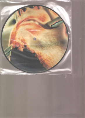 PETER GABRIEL ''Shock The Monkey'' 2 Track Picture 7'' Vinyl Single CHARISMA 1982