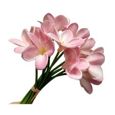 10 pcs Pink Artificial Plumeria Flowers with Stems,Real Touch,13inch