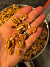 5 pounds delicious South GA Elliot pecan halves and pieces 2025 crop