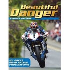 Beautiful Danger by Stephen Davison (Paperback, 2015)