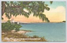 Linen~Corey Avenue Causeway St Petersburg Beach Florida~Vintage Postcard