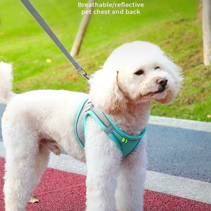 Dog Harness Leash Set for Small Dog Adjustable Puppy Harness Vest Bulldog9016
