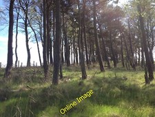 Photo 12x8 Arable crops adjacent to Old Park Lane Dell Quay  c2010