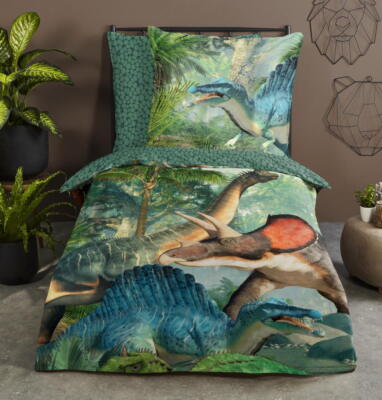 GOOD MORNING Wende Bettwäsche JURASSIC 30003 Park World Dinosaurier Kids 135x200