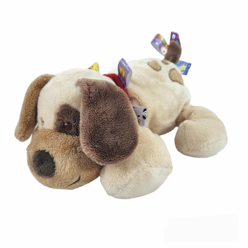 taggies for dogs