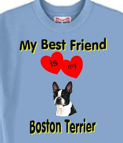 Dog T Shirt Men Women -- My Best Friend Is My Boston Terrier