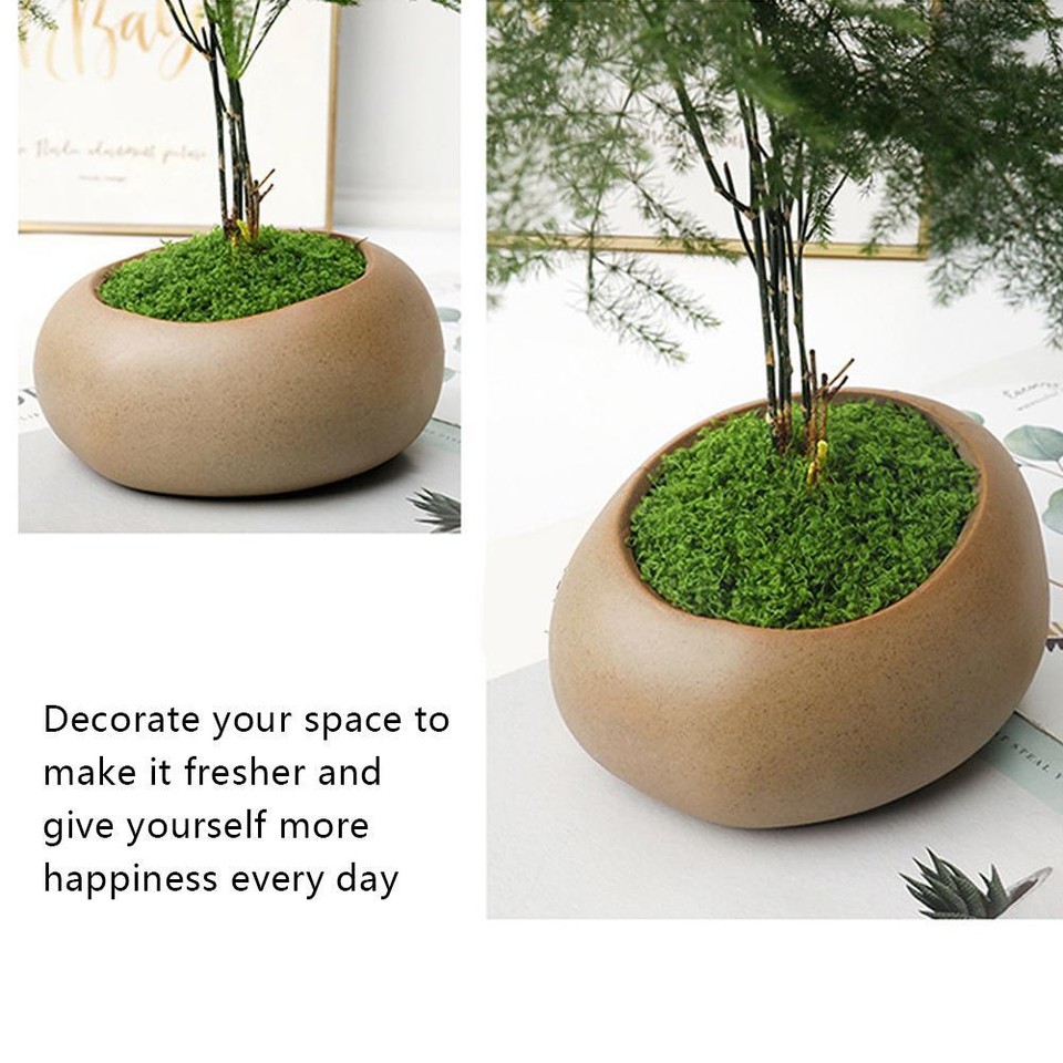Artificial Plant Moss DIY Fake Plastic Flower Garden Landscape Micro eBay