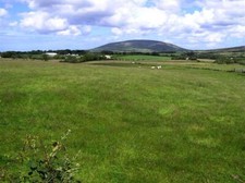 Photo 6x4 Islandoo Townland The Drones Looking north c2008