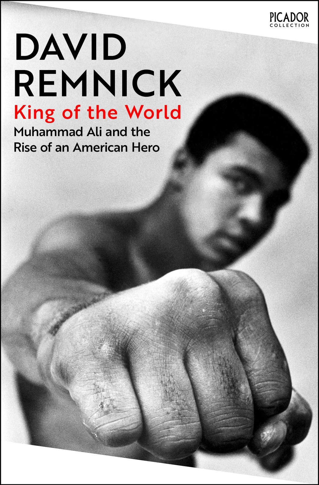 King Of The World : Muhammad Ali And The Rise Of An American Hero David Remnick - Image 6