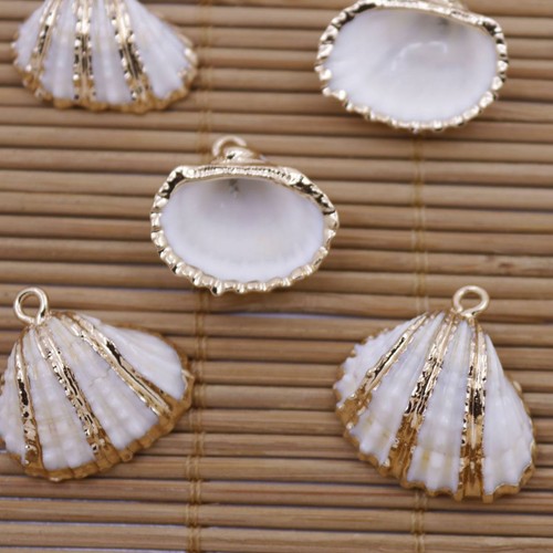 5 PIEZAS Dijes Colgante Chapado en Oro Natural Blanco Madreperla 20mm-22mm - Imagen 2 de 3