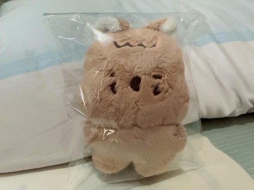STRAY KIDS GOODS PLUSH DOLL SKZOO TOY 10CM KEYCHAIN CHRISTMAS BIRTHDAY XMAS GIFT - Picture 9 of 38