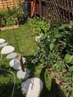 Picture 4 of 9
