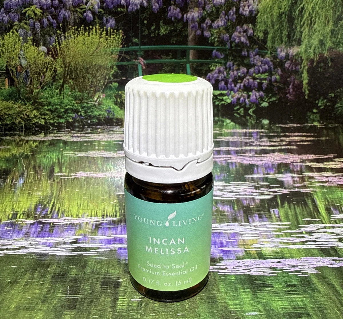 Melissa Young Living Essential Oils Aromatherapy Supplies for sale