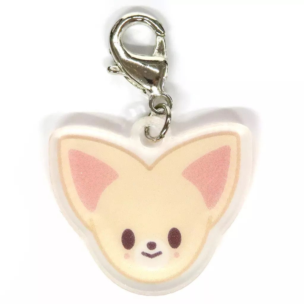 General goods IEN (Stray Kids) SKZOO Keyring Mini Charm Foxl.Ny