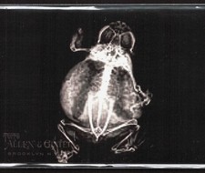 2024 Topps Allen & Ginter American bullfrog X-ray'd #XR-10 BASEBALL