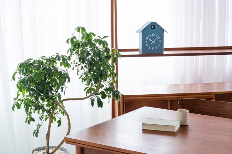 Lemnos Cuckoo Clock RF20-03 BL Blue Analog Dachs Cuckoo Japan | eBay