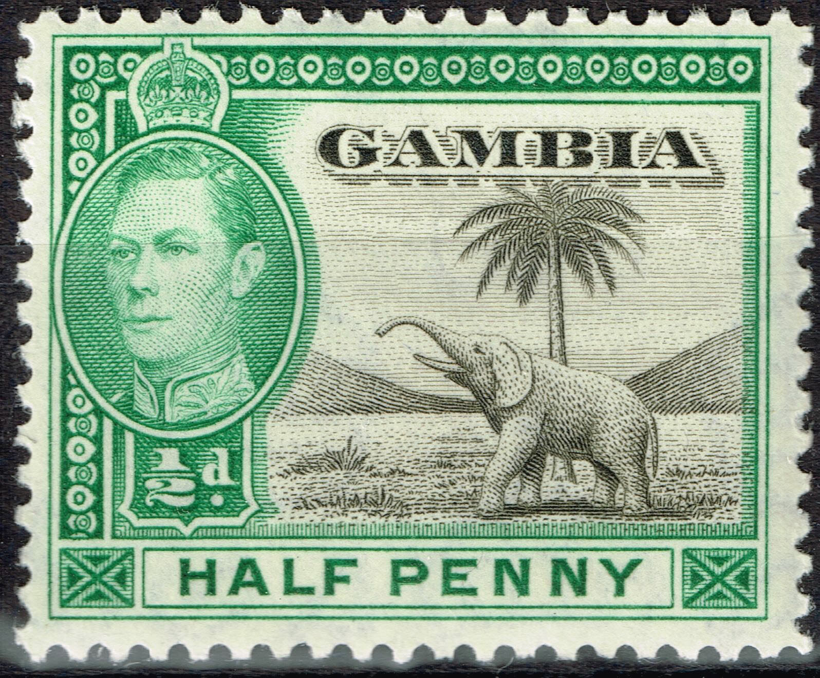 Gambia Fauna Wild Animals Elephant stamp 1938 MLH | eBay