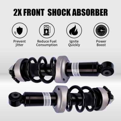 OEM 2PCS Front Shock Struts w/Magnetic Ride Suspension For Audi R8 2007-2015