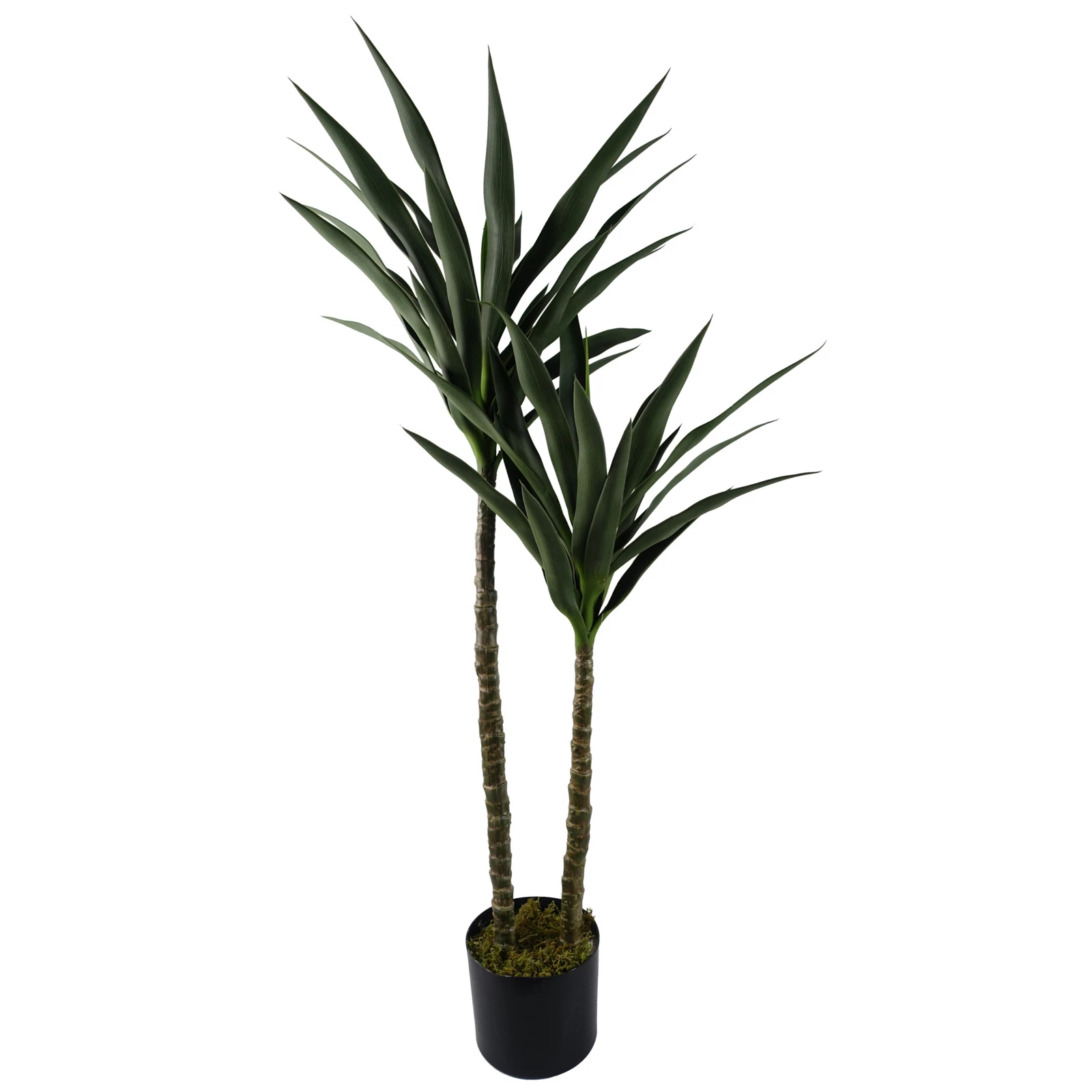120cm UV Yukka - 40557