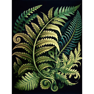 Ernst Haeckel Stil Farnwedel Blatt Illustration Leinwand Poster Bild Wandbild
