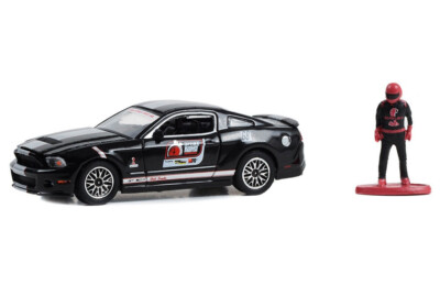 GreenLight 1:64 Shelby A.S.S NEU GT500 #68 2010 Race car Driver Hobby Shop 15