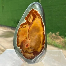 1012g Gorgeous Natural Polychrome Ocean Jasper Freeform Crystal Reiki Healing