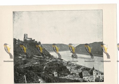 Rhein, Gutenfels & die Pfalz, Deutschland, Buchillustration (Druck), 1899