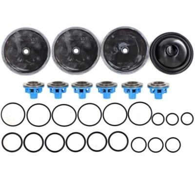 Comet 5026.0089 Repair Kit for APS101/APS121 Diaphragm Pump