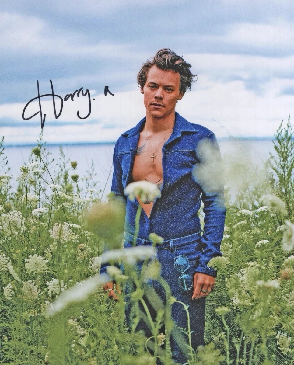 Las mejores ofertas en Harry Styles | eBay